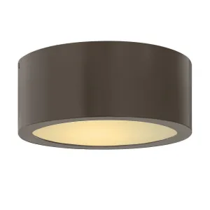 Luna Indoor / Outdoor Flush Mount