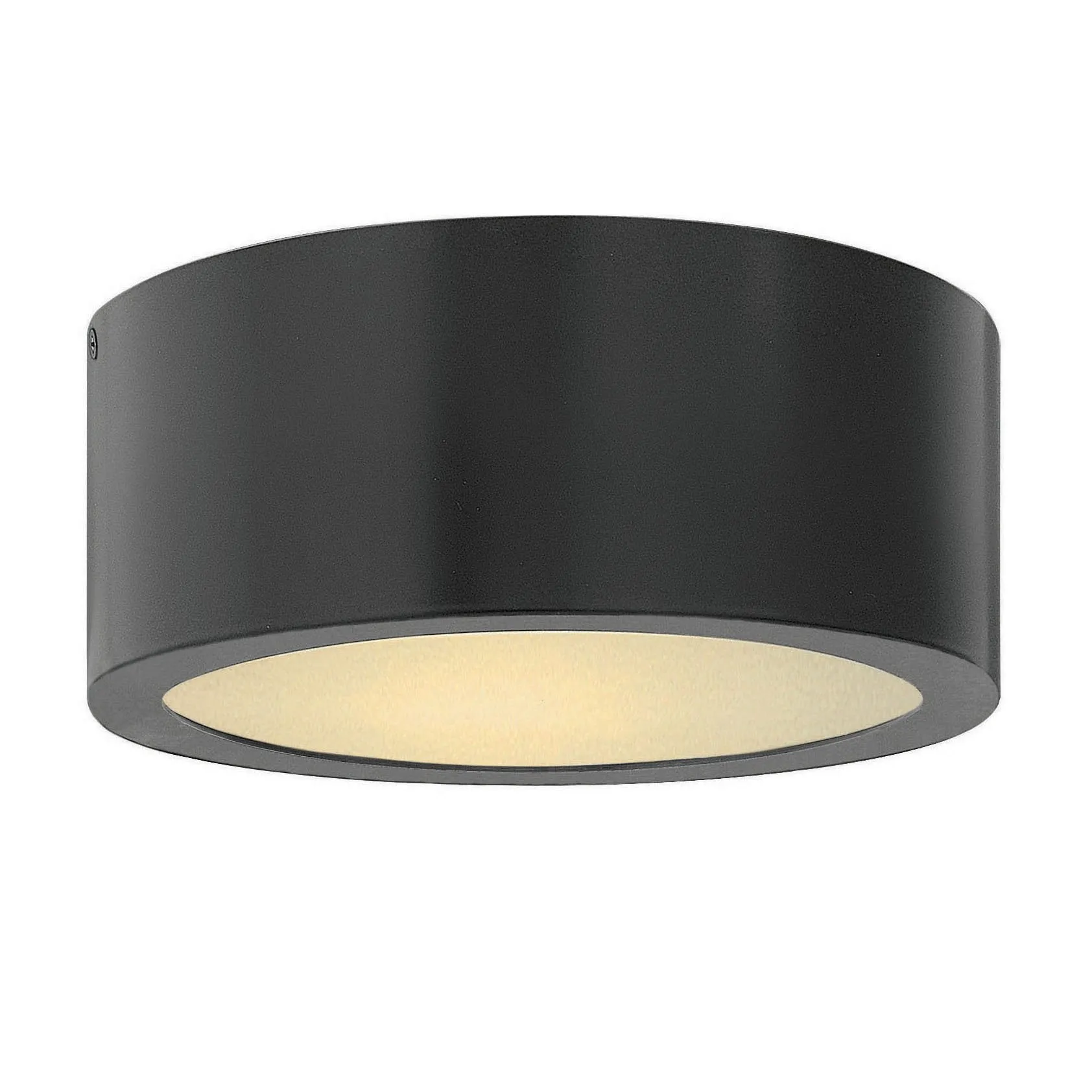 Luna Indoor / Outdoor Flush Mount