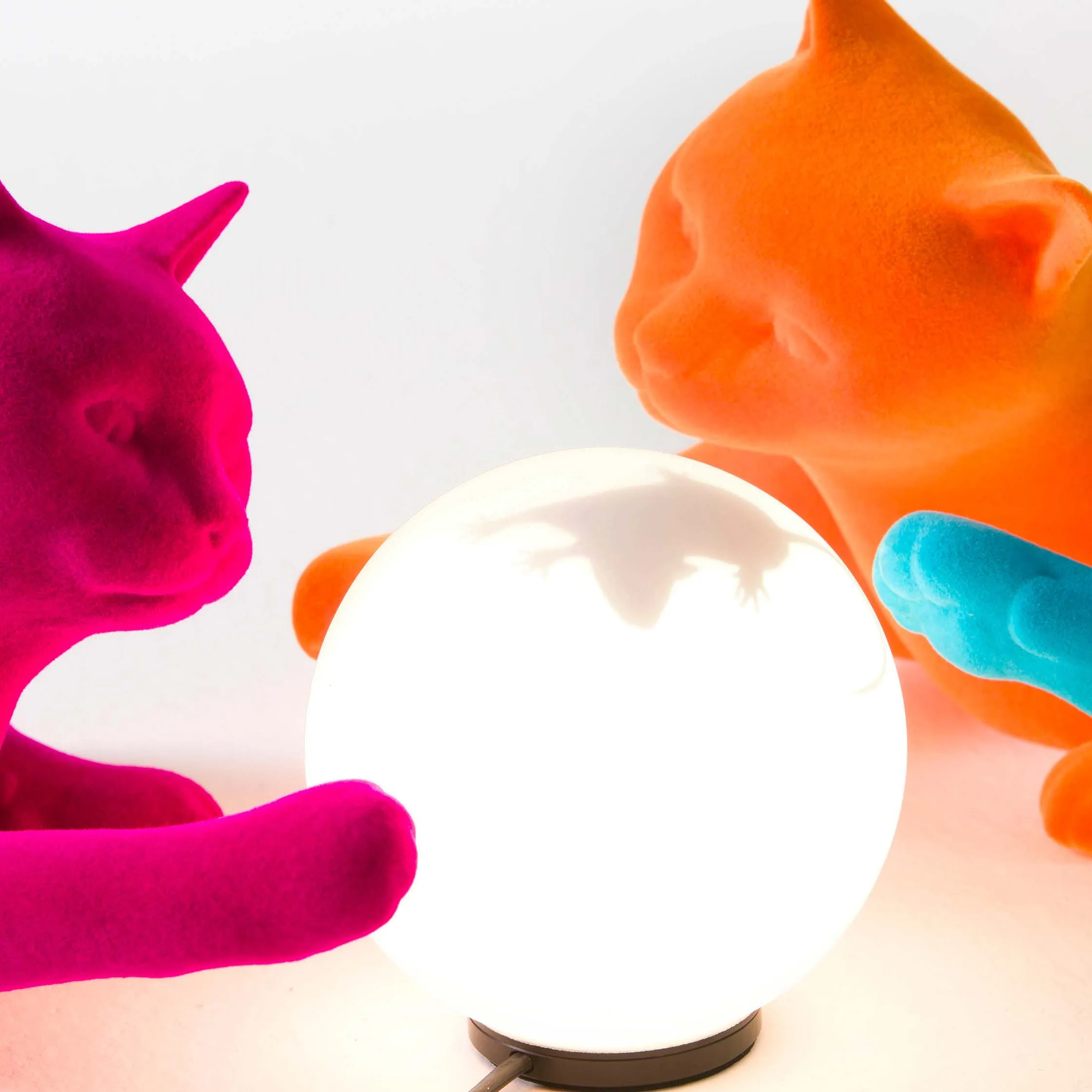 Maoo LED Table Lamp