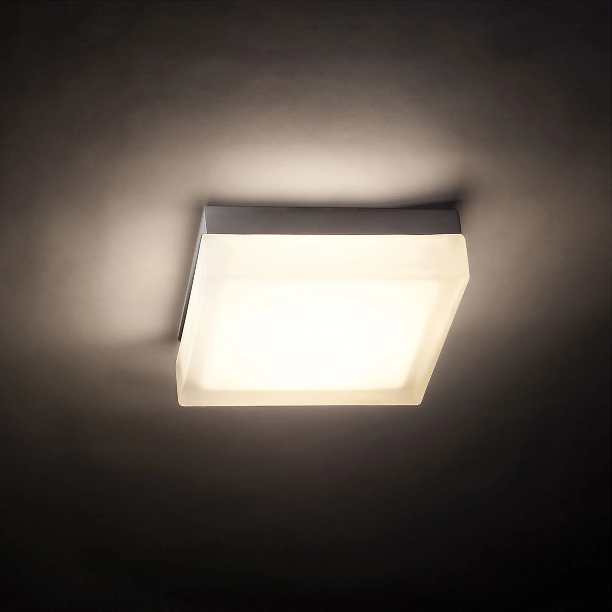 Matrix Outdoor Wall / Ceiling Light