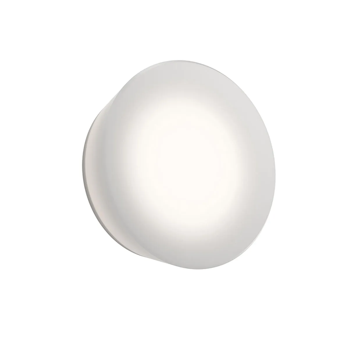 Mist Round LED Wall Sconce/Flush Mount