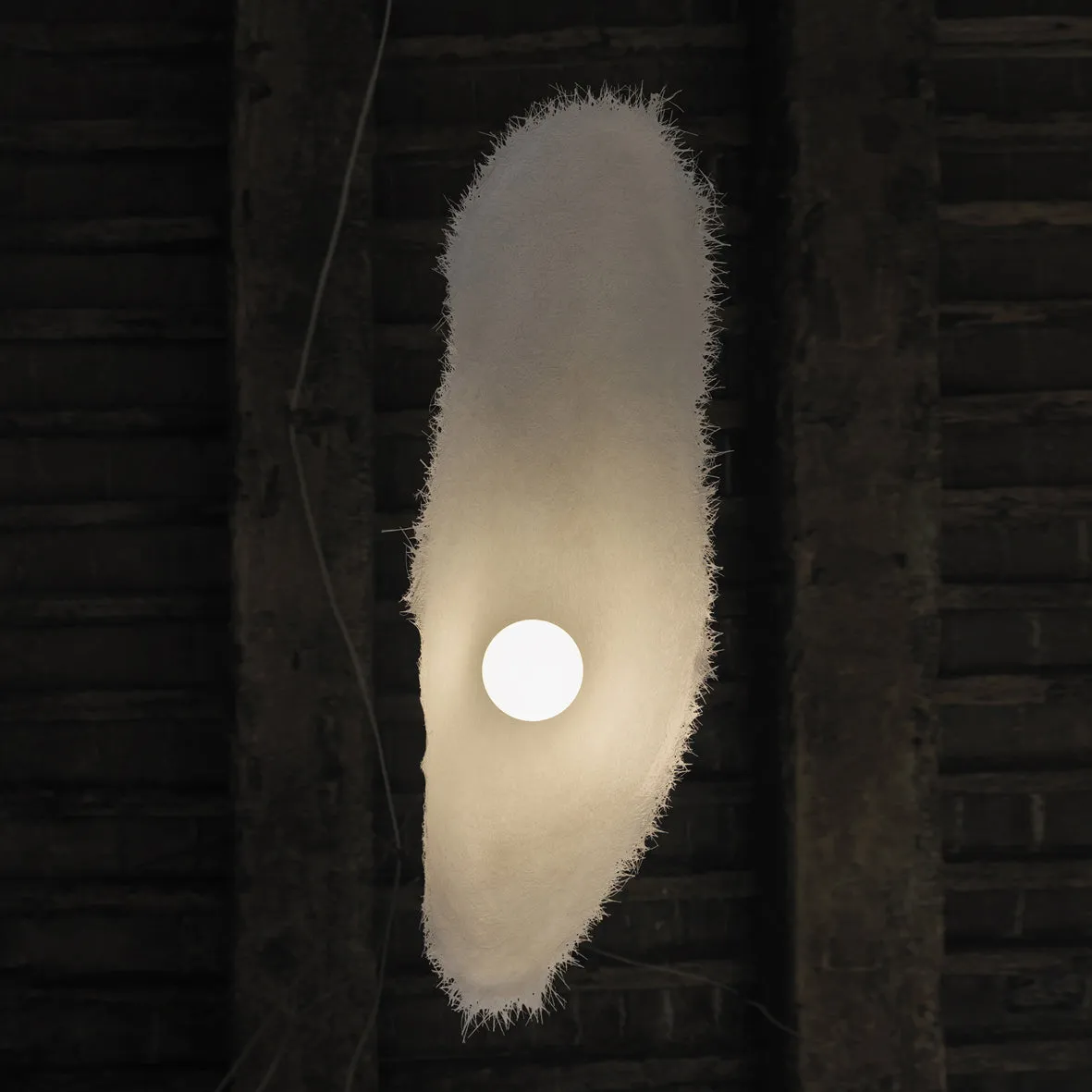 Moby Dick Outdoor Pendant Light
