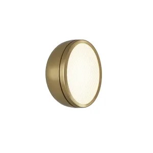 Molly LED Wall/Ceiling Light