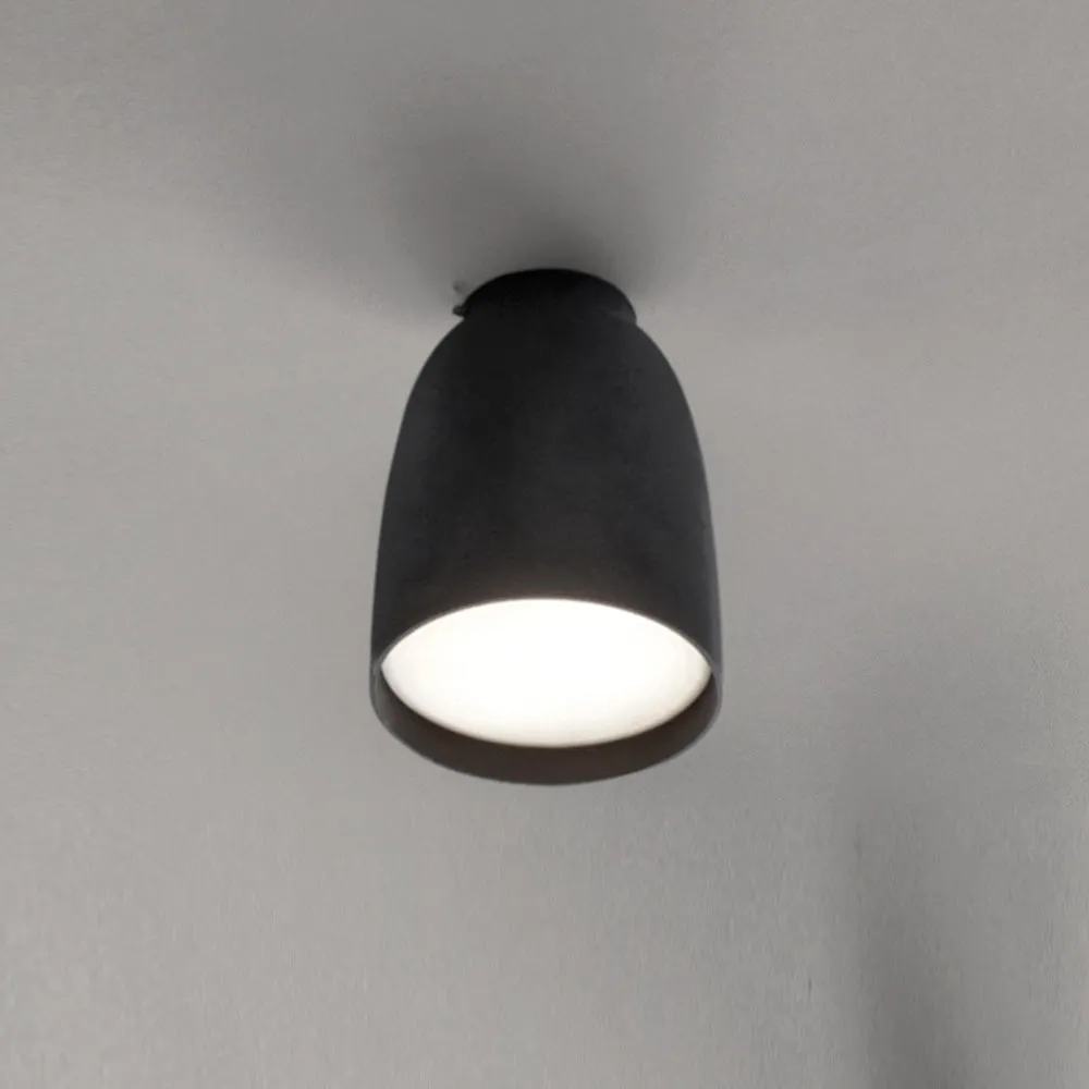Nut Outdoor Flush Mount