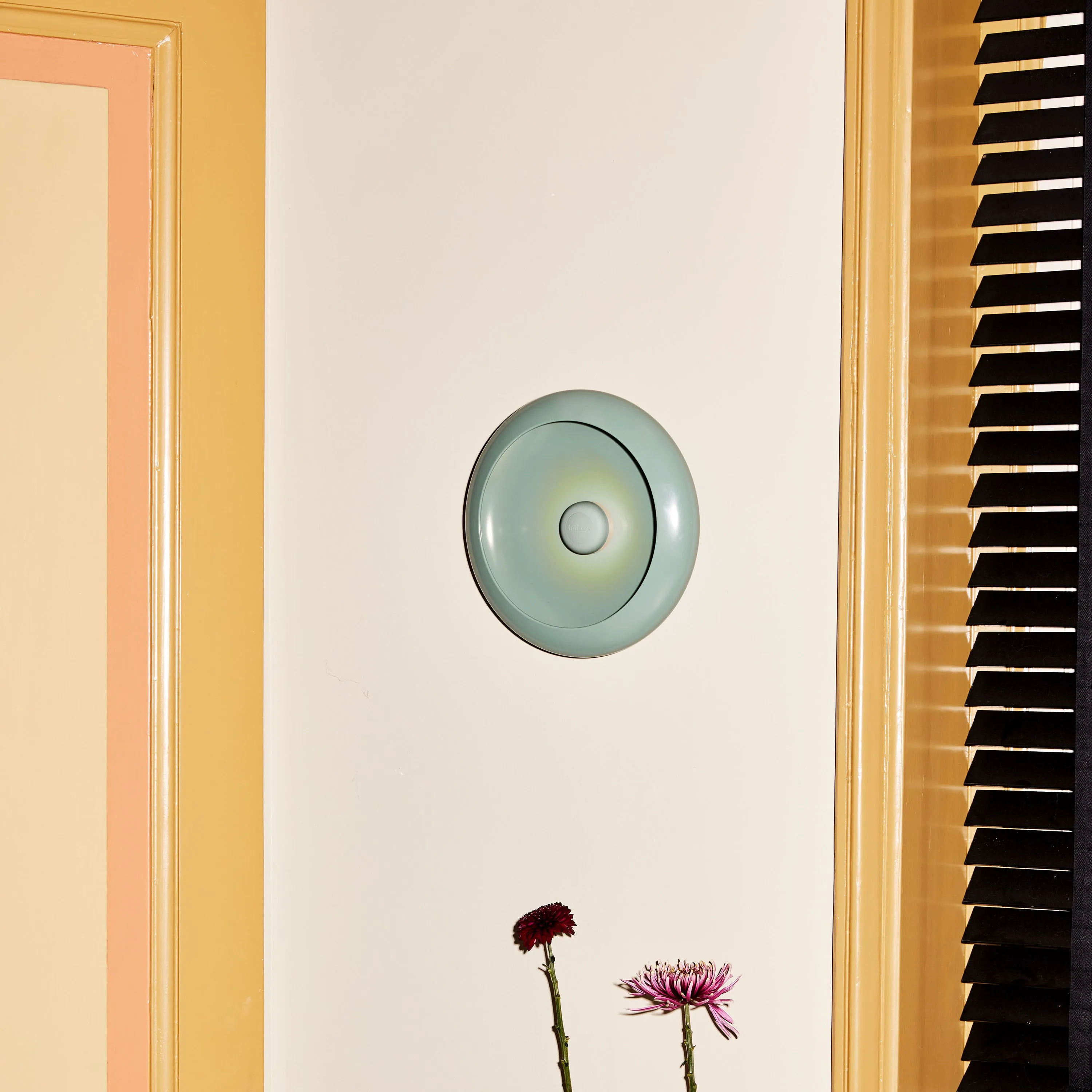 Oloha Lamp