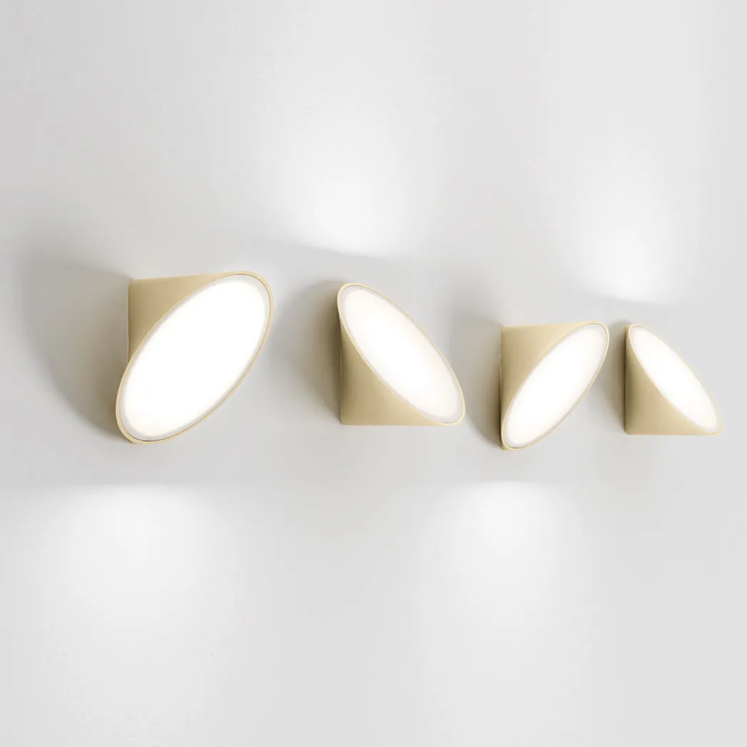 Orchid Wall/Ceiling Light