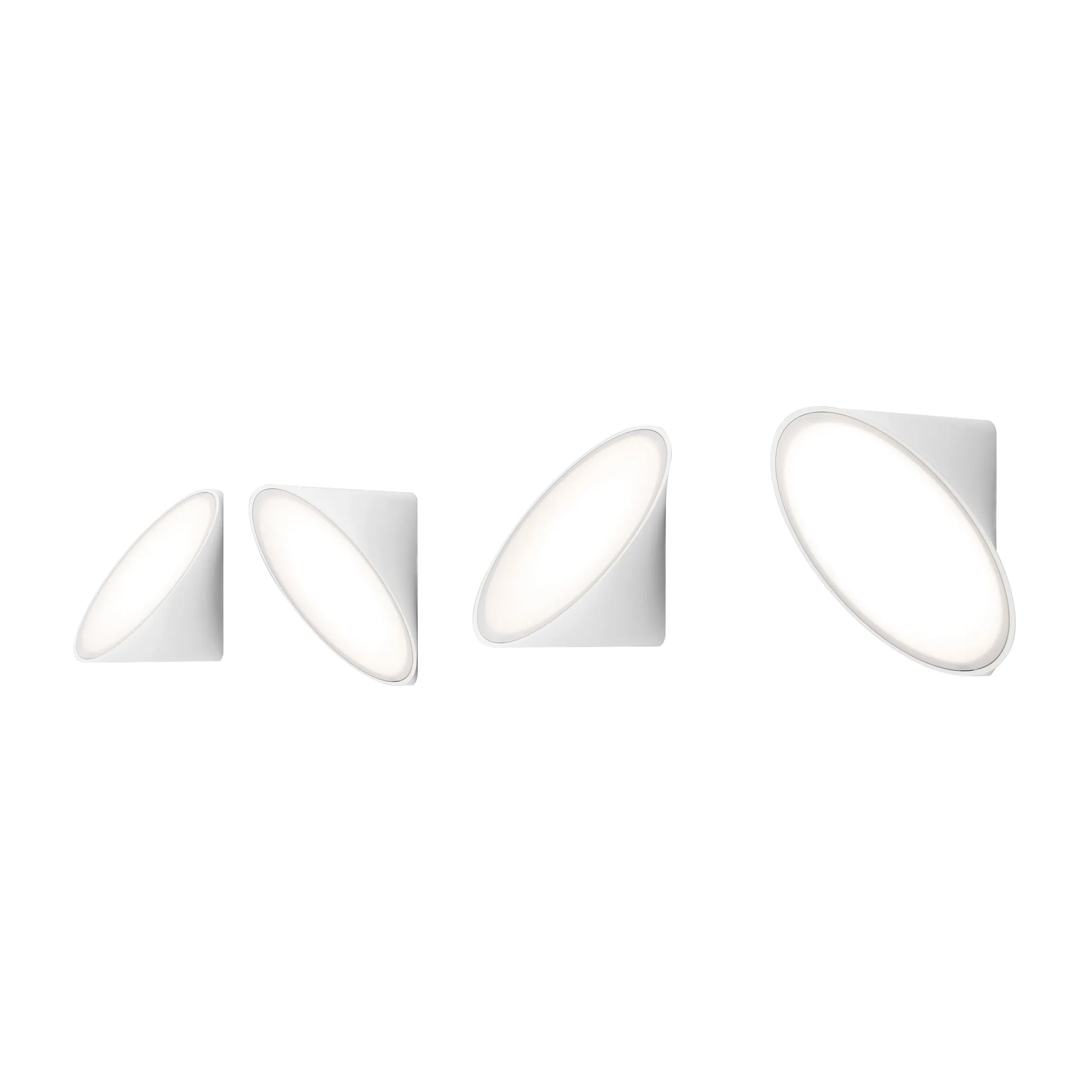 Orchid Wall/Ceiling Light