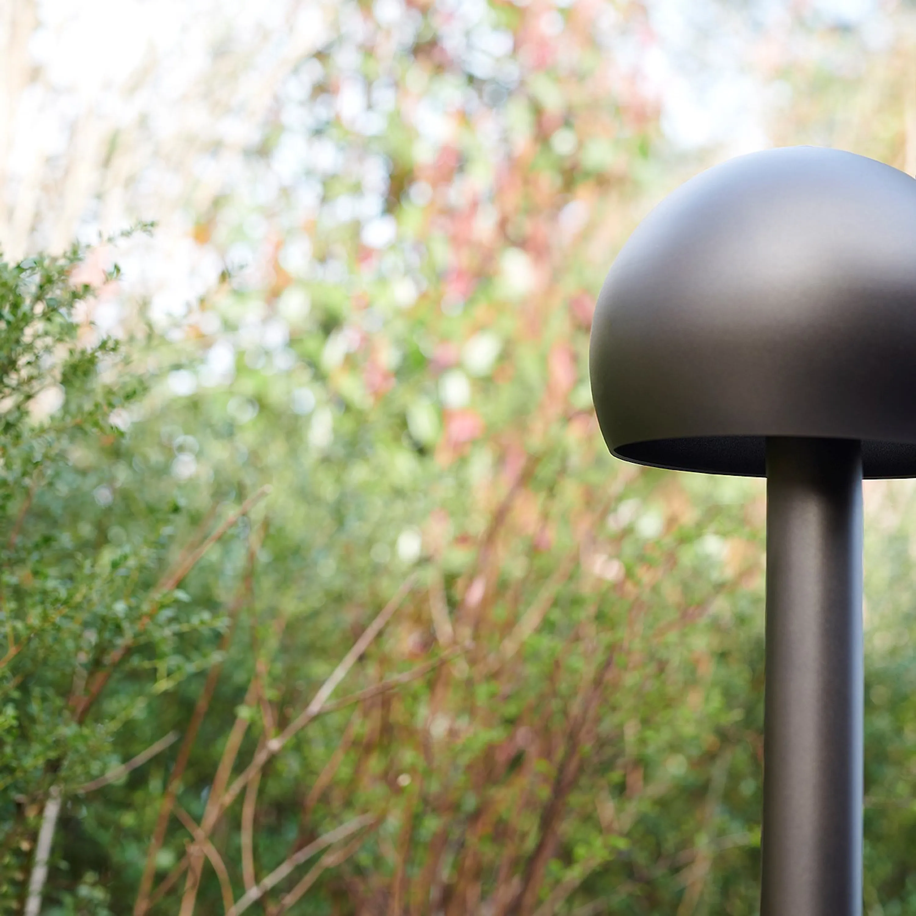 Otto Path Light