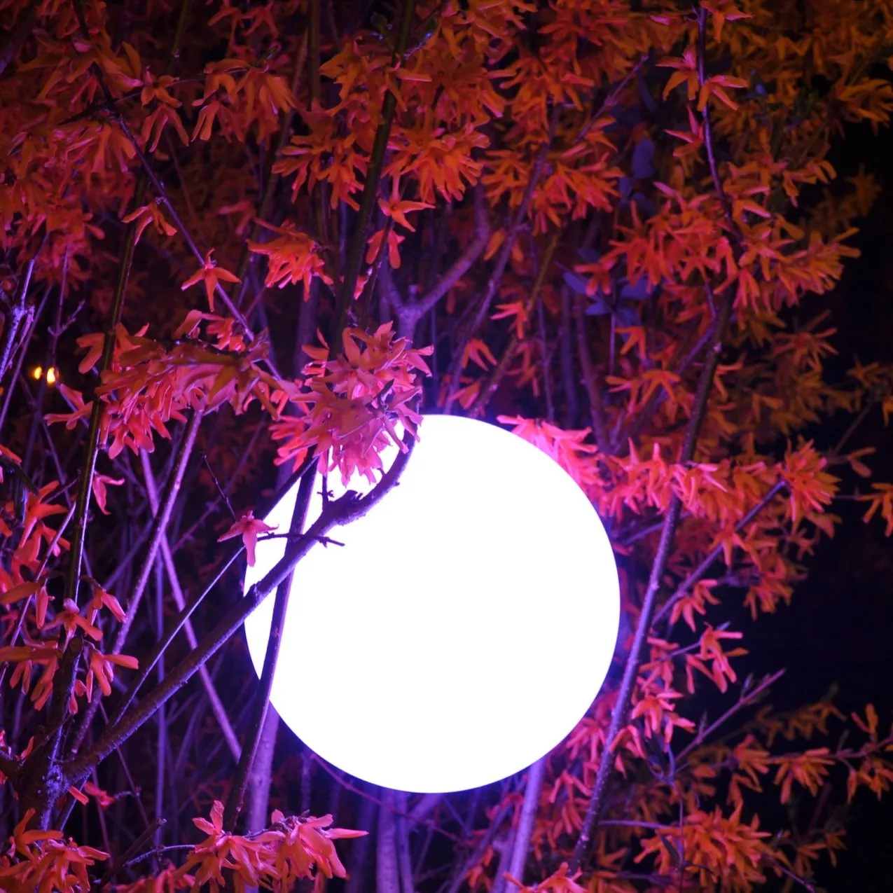 Pearl Outdoor Bluetooth LED Table Lamp