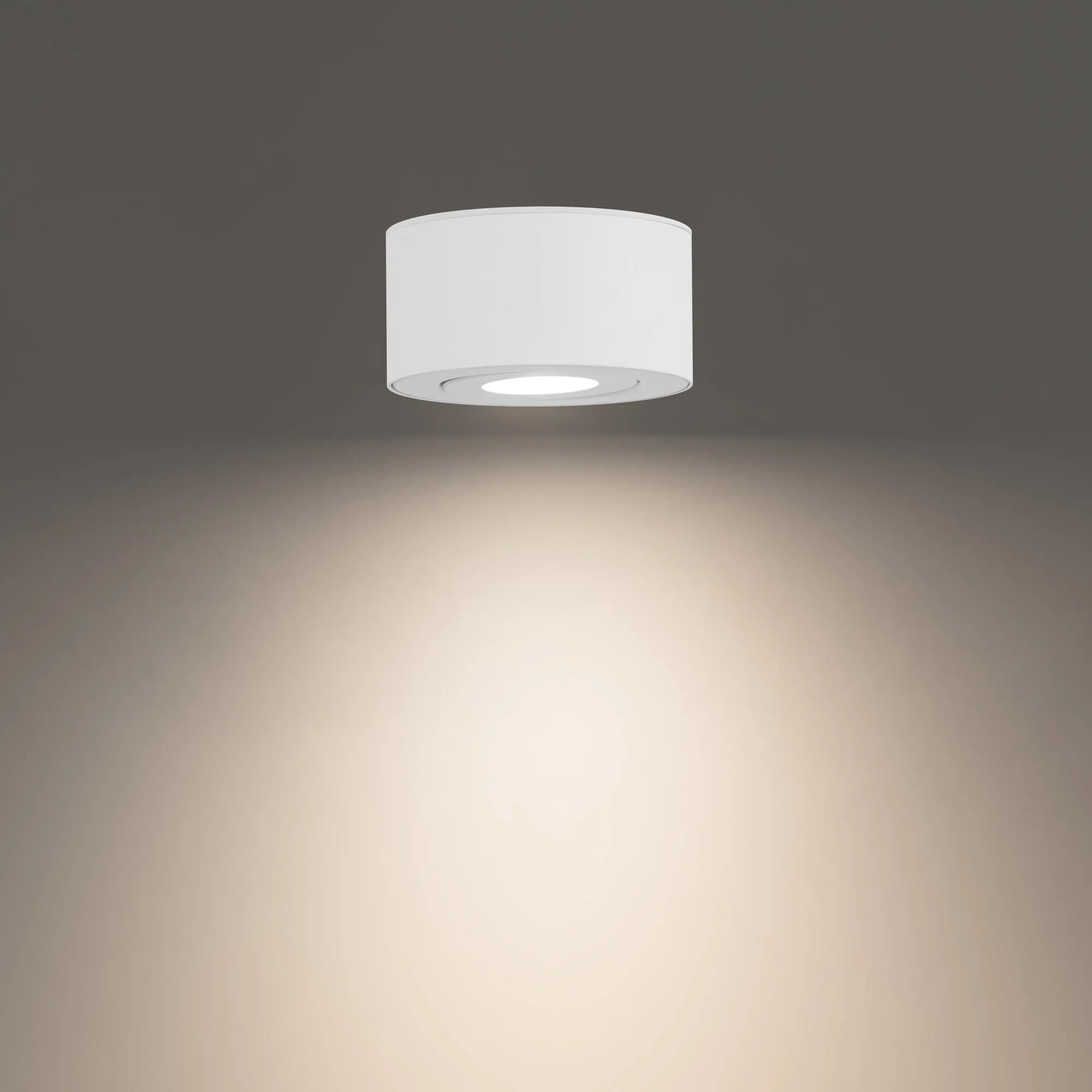 Peek LED Outdoor Flush Mount