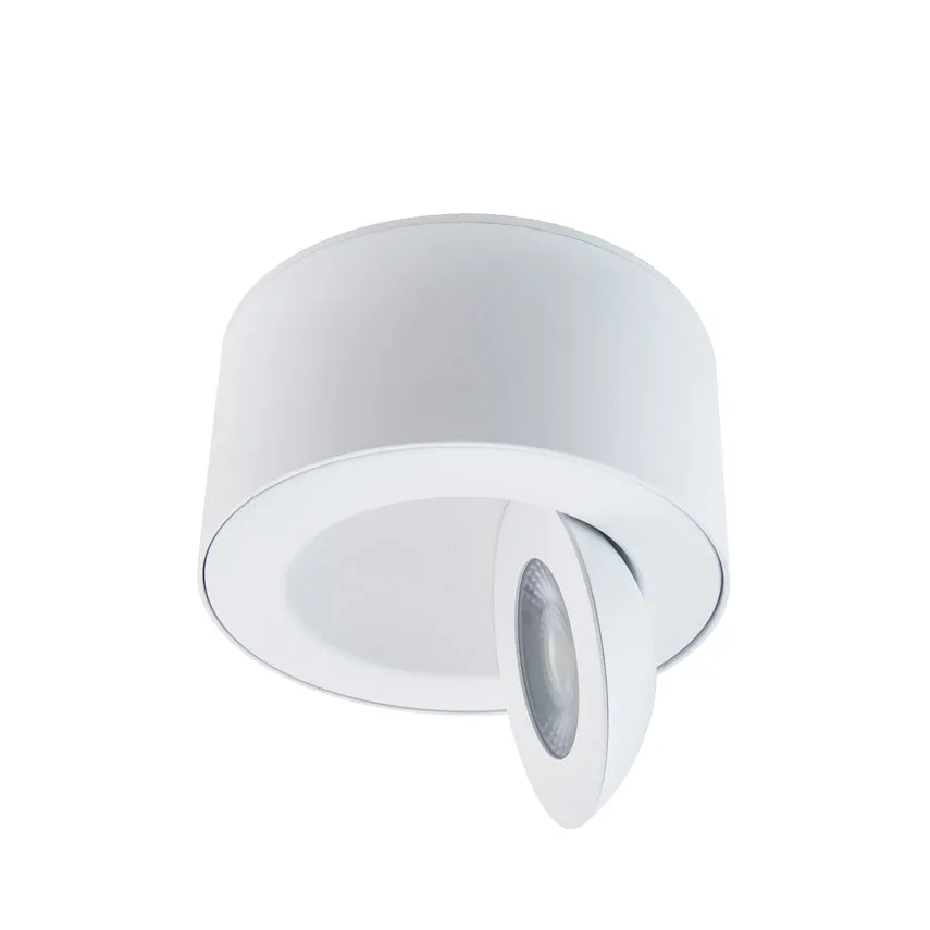 Peek LED Outdoor Flush Mount