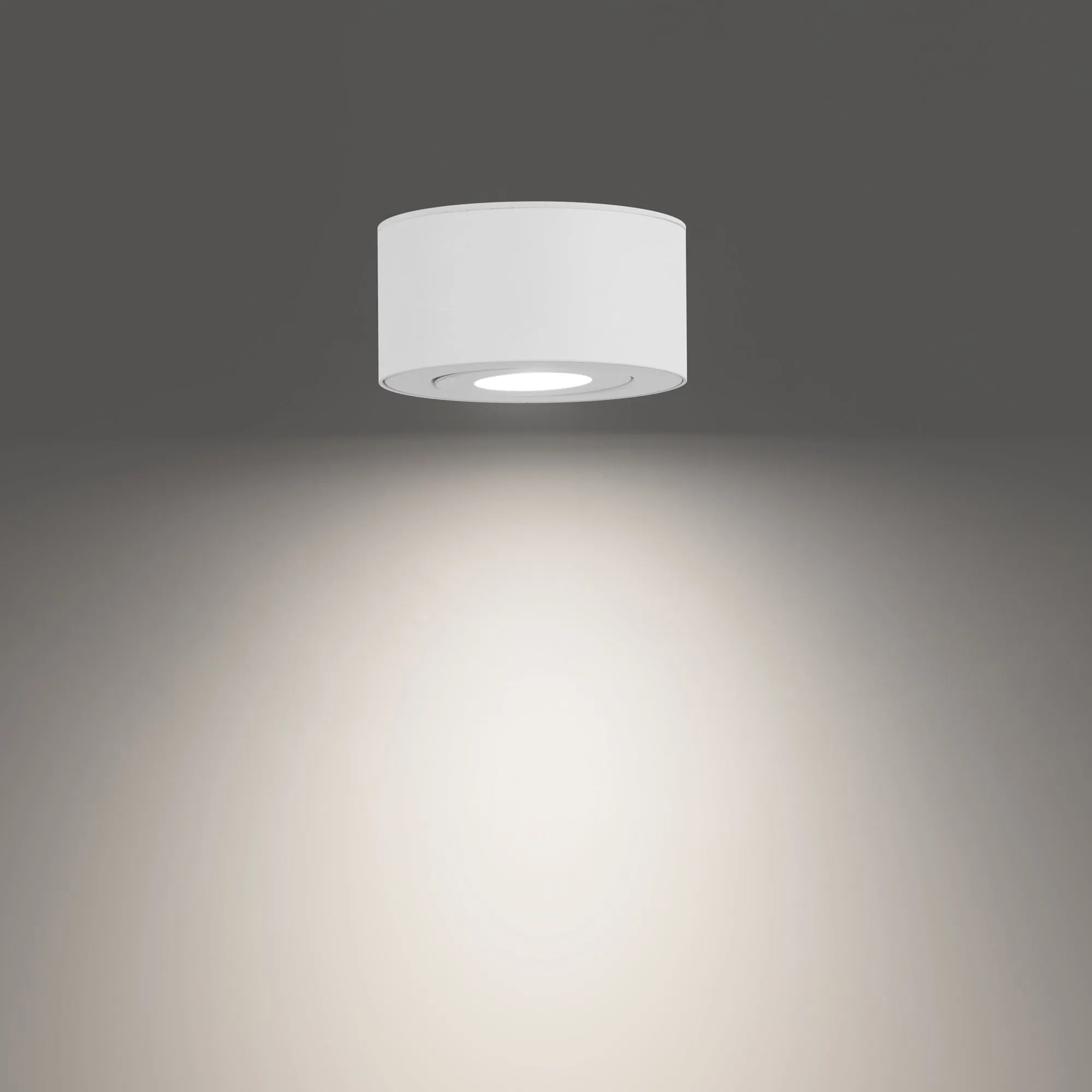 Peek LED Outdoor Flush Mount