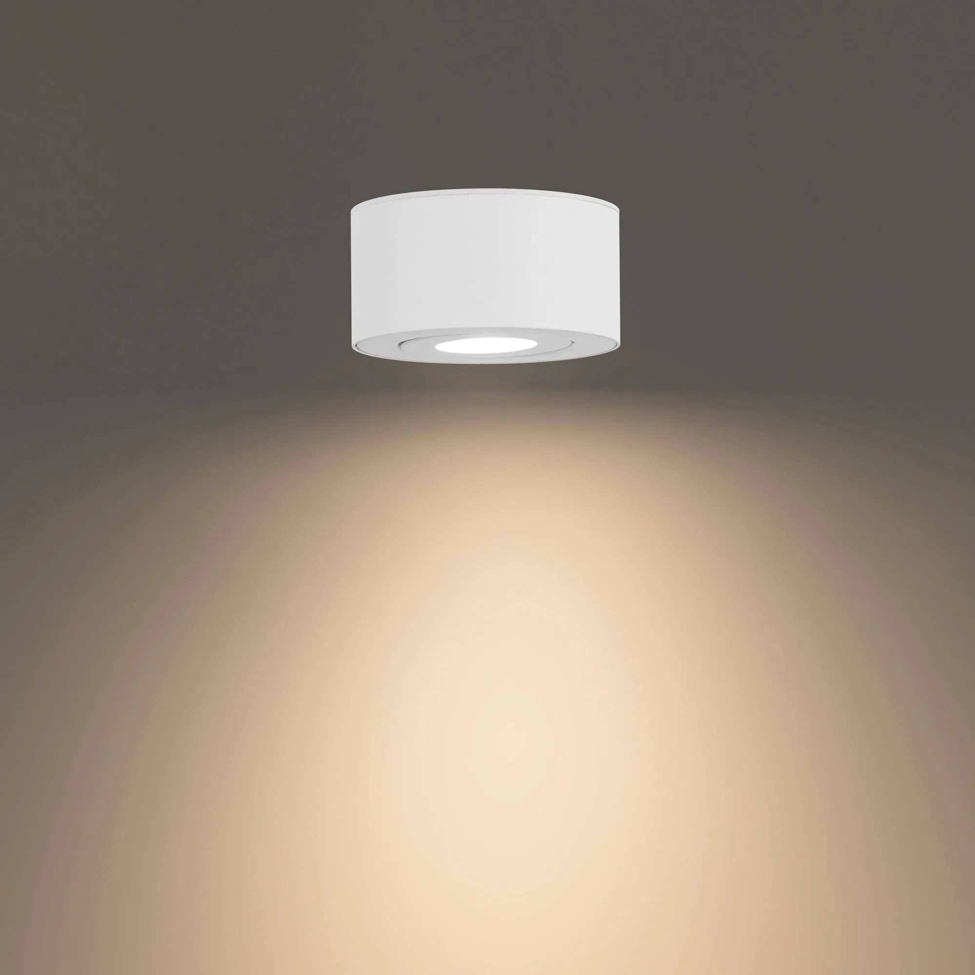 Peek LED Outdoor Flush Mount