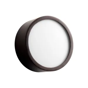 Peepers Flush Mount