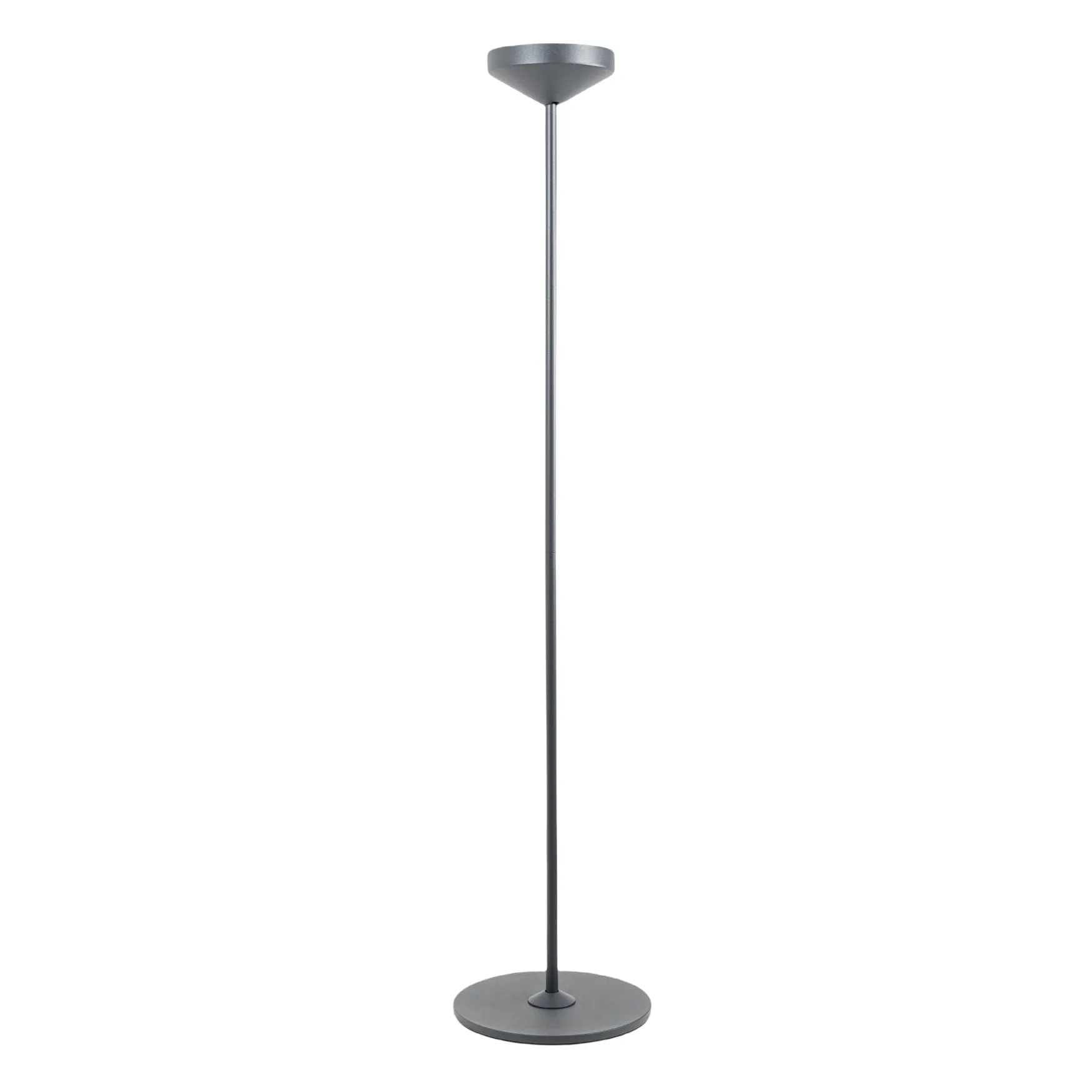 Pina Pro Floor Lamp