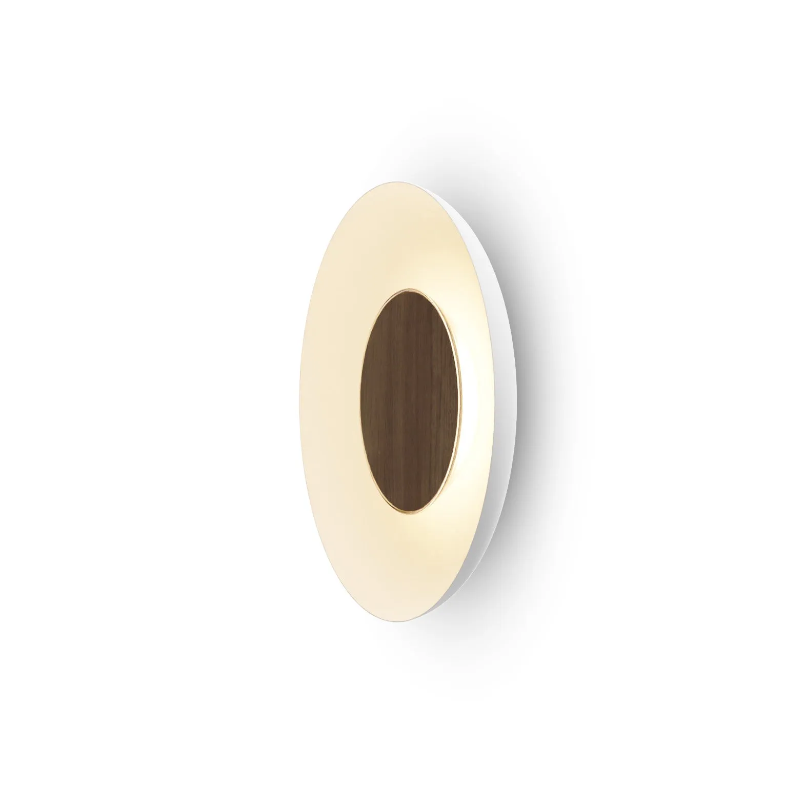 Ramen Wall/Ceiling Light