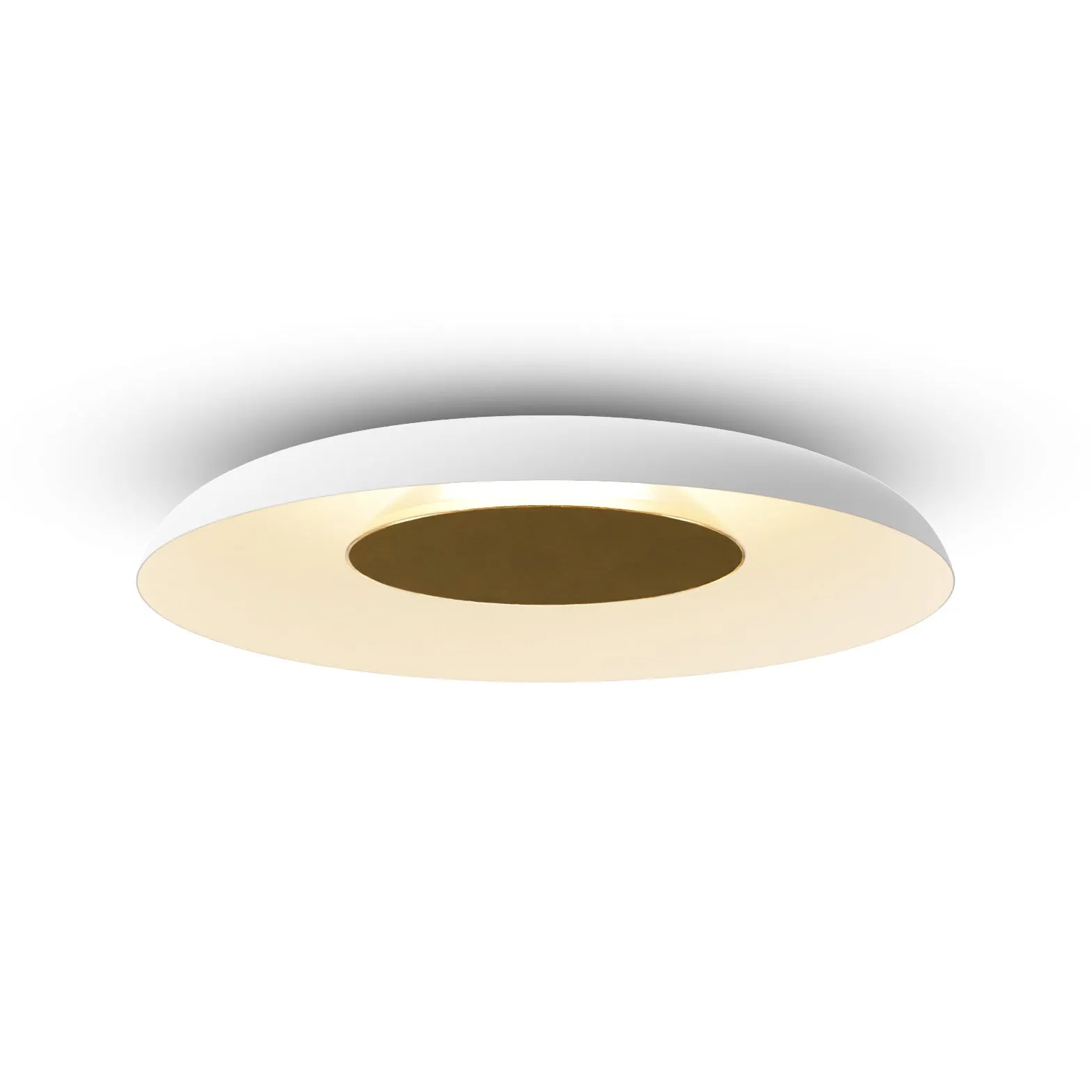 Ramen Wall/Ceiling Light