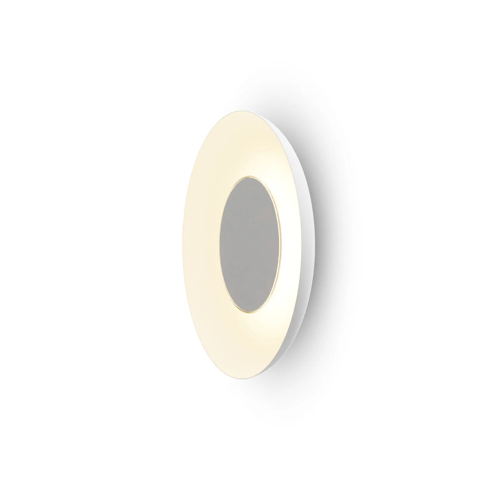 Ramen Wall/Ceiling Light