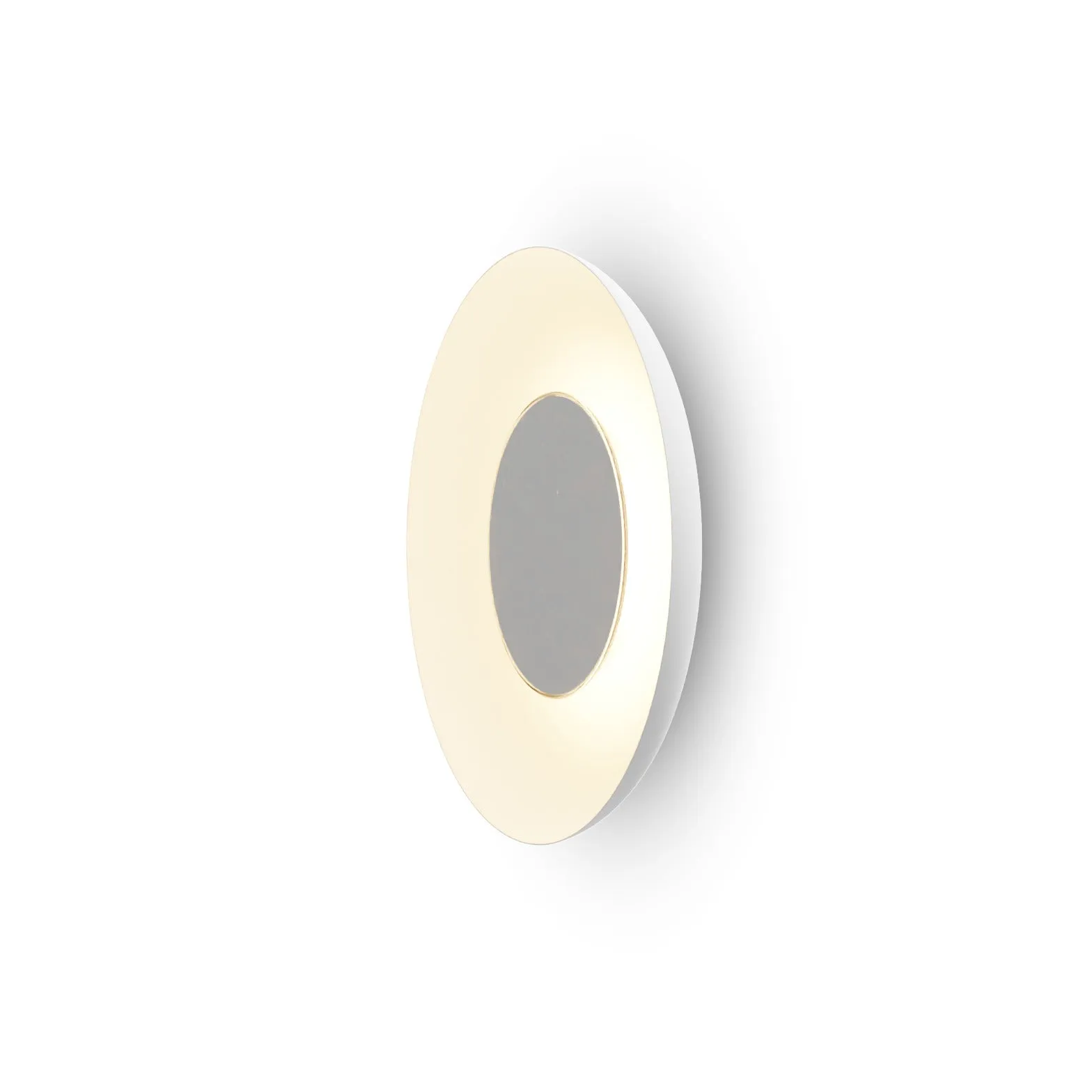 Ramen Wall/Ceiling Light