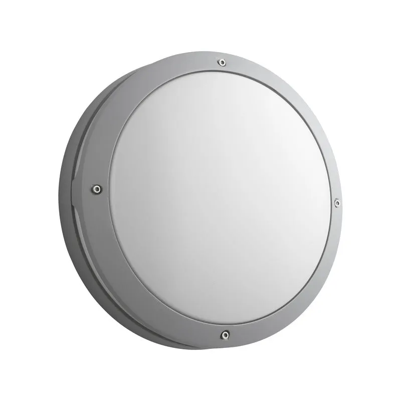 Regio Outdoor Wall / Ceiling Light