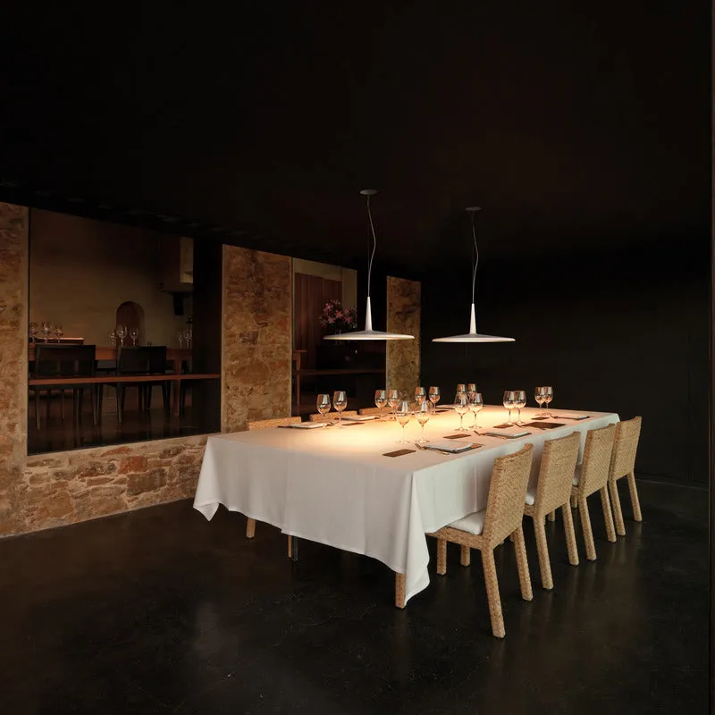 Skan Pendant Light