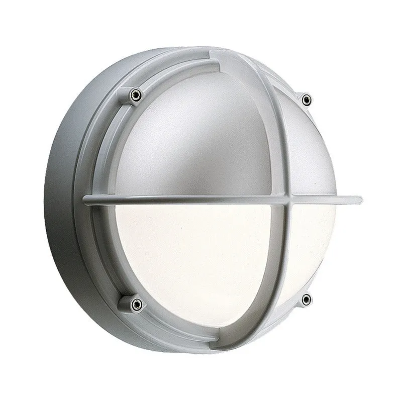 Skot Outdoor Wall or Ceiling Light