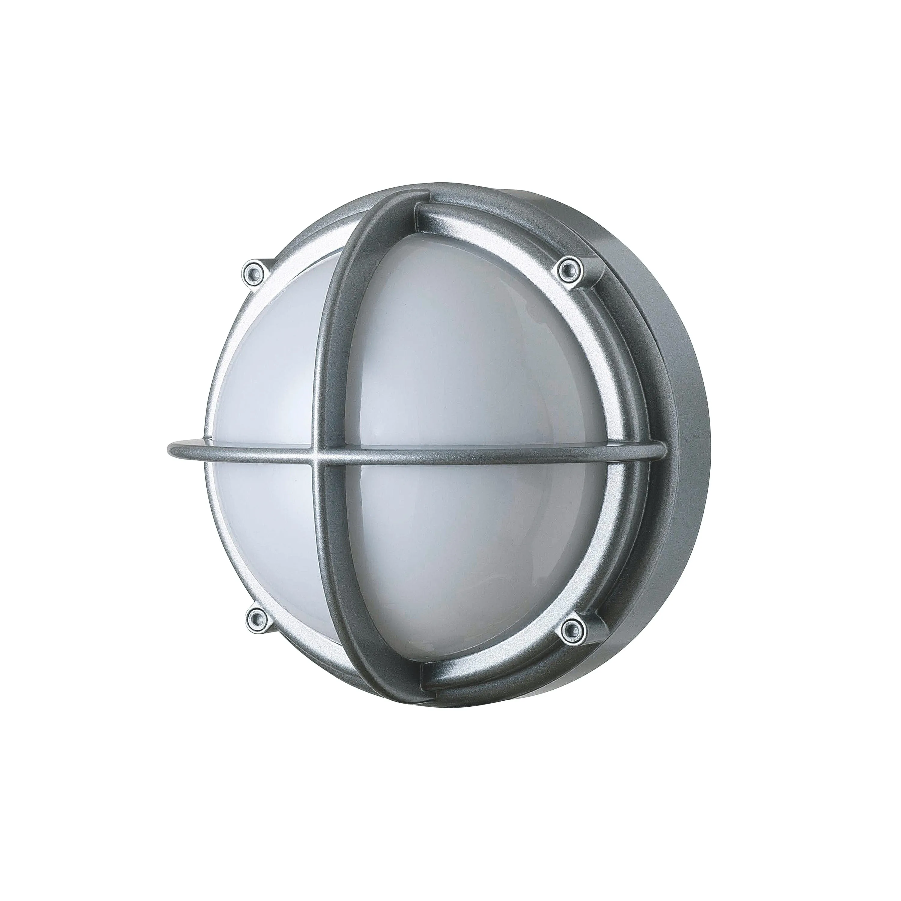 Skot Outdoor Wall or Ceiling Light