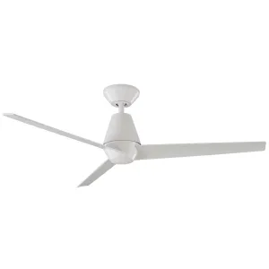 Slim Indoor/Outdoor Ceiling Fan