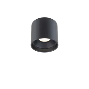 Squat LED Outdoor Flush Mount