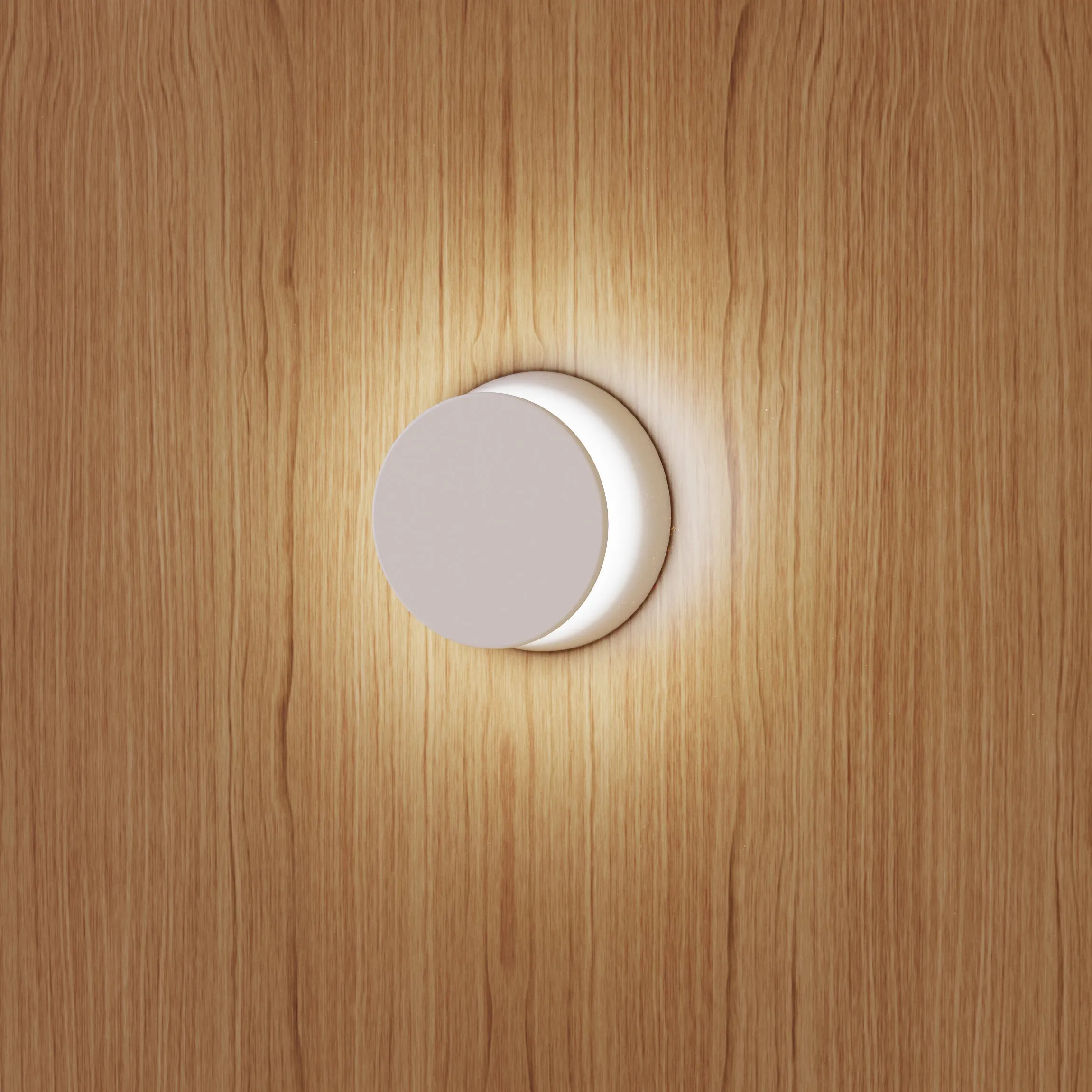 Totem Puck Wall Sconce