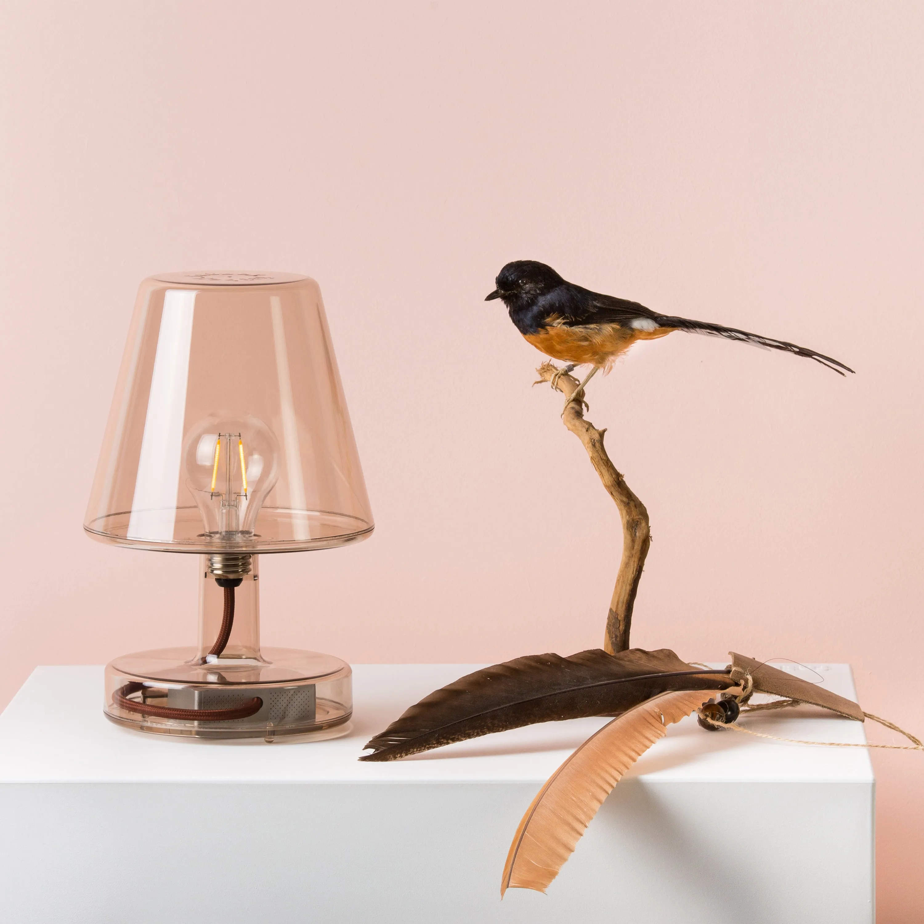 Transloetje Table Lamp
