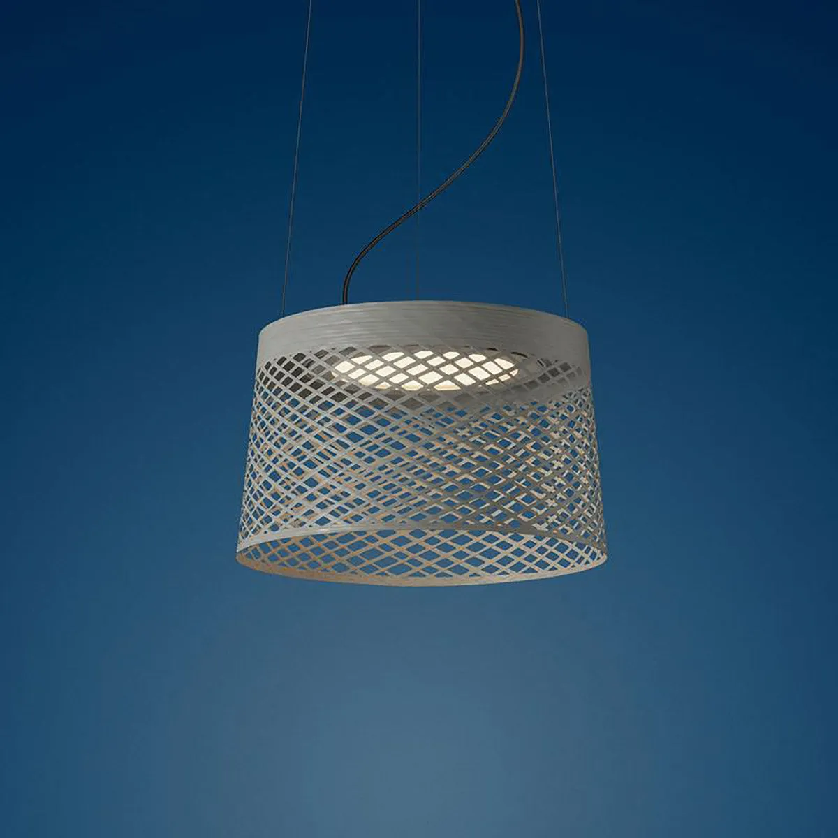 Twiggy Grid LED Outdoor Pendant Light