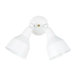 Two Light 8607 Outdoor Adjustable Swivel Flood Light