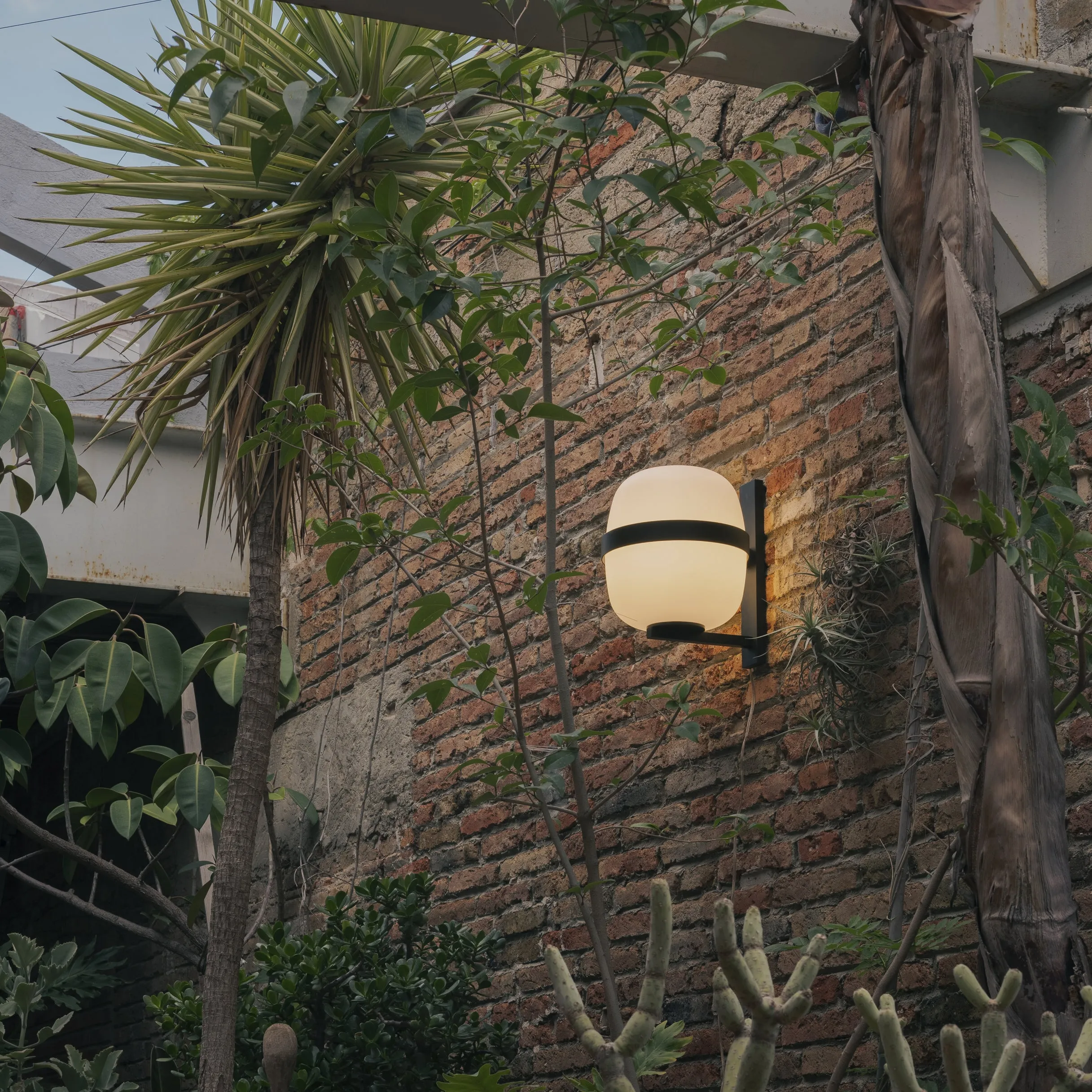 Wally Cesta Wall Light