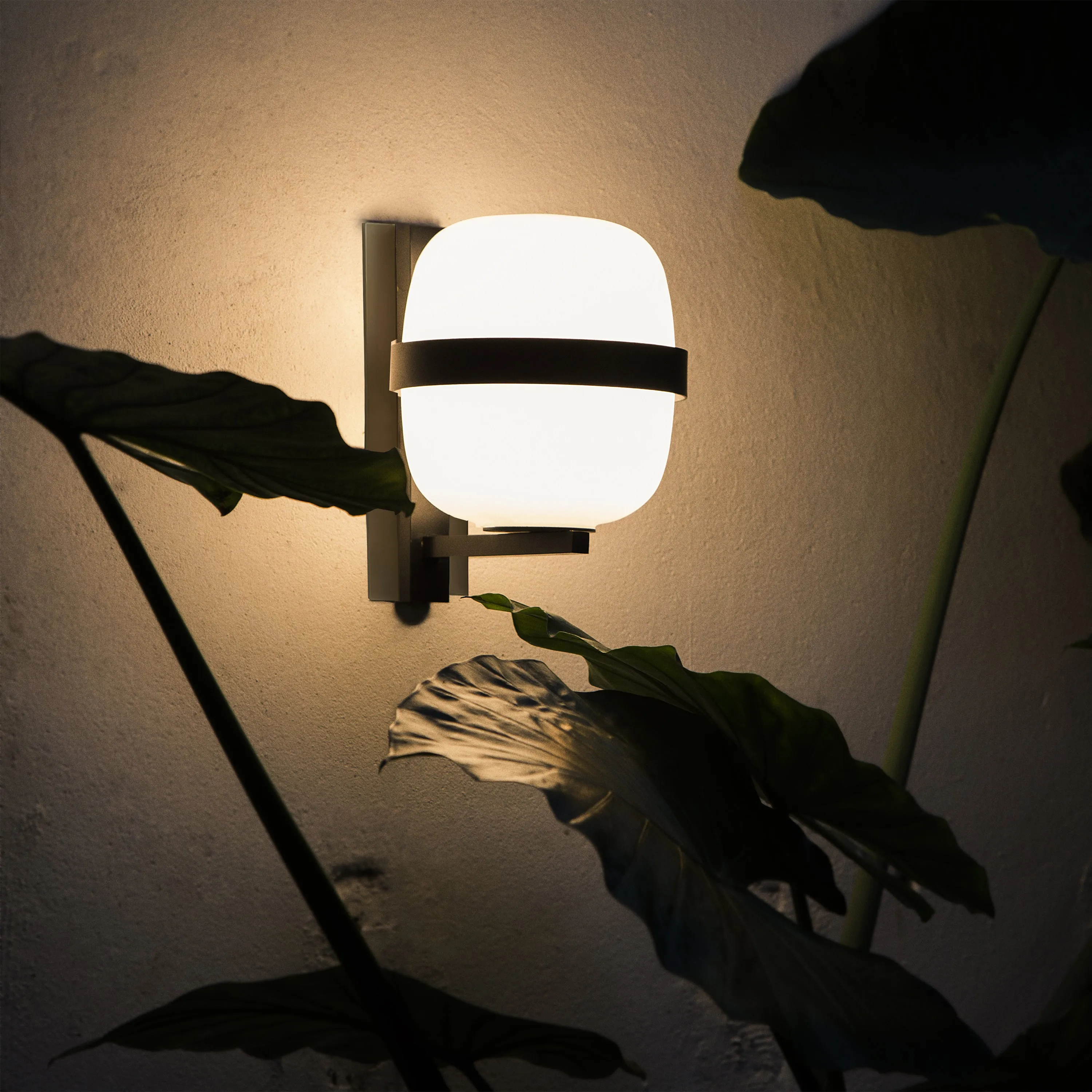 Wally Cesta Wall Light